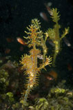 MME400443U