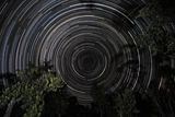PHA100011S
Southern Sky star trails over Banksia Trees.