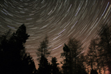 PHA100023S
Star trails over the trees in Aberdeen, Scotland.
