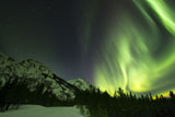 PHA100030S
Northern lights over Annie Lake Road, Yukon, Canada.