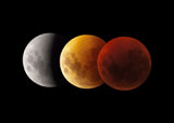 PHA100049S
Composite image of lunar eclipse, Victoria, Australia.