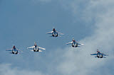 RGU100035M
Sukhoi Su-27 Flanker aircraft of the Russian Knights aerobatic team.