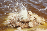 RRS300108S
Dallol geothermal area, small geyser in brine hot springs, Danakil Depression, Ethiopia.