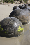 RRS300157S
Moeraki Boulders, Koekohe Beach, New Zealand.