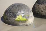 RRS300158S
Moeraki Boulders, Koekohe Beach, New Zealand.