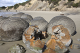 RRS300160S
Moeraki Boulders, Koekohe Beach, New Zealand.