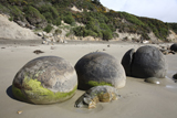 RRS300161S
Moeraki Boulders, Koekohe Beach, New Zealand.