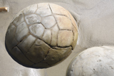 RRS300165S
Moeraki Boulders, Koekohe Beach, New Zealand.