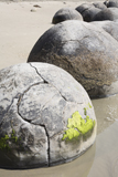 RRS300169S
Moeraki Boulders, Koekohe Beach, New Zealand.