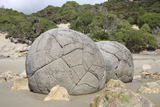 RRS300171S
Moeraki Boulders, Koekohe Beach, New Zealand.