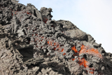 RRS300279S
Lava flow on the flank of Pacaya volcano, Guatemala.