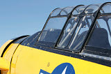 RVP100007M