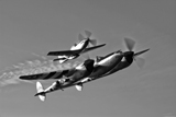 SGR100010M
A P-38 Lightning and P-51D Mustang in flight.