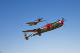 SGR100011M
A P-38 Lightning and P-51D Mustang in flight.