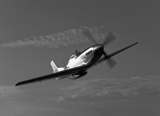 SGR100012M
A P-51D Mustang in flight.