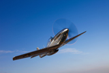 SGR100013M
A P-51D Mustang in flight.