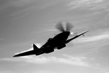 SGR100034M