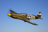 SGR100044M
A P-51A Mustang in flight.