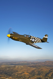 SGR100045M
A P-51A Mustang in flight.