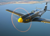 SGR100046M
A P-51A Mustang in flight.
