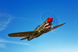 SGR100061M
A P-40E Warhawk in flight.