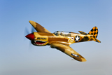 SGR100075M
A P-40N Warhawk in flight.