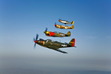 SGR100088M
A P-36 Kingcobra, two Curtiss P-40N Warhawks, and a P-51D Mustang in flight.
