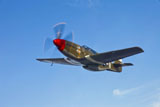 SGR100119M
P-51B Mustang in flight over China, California.