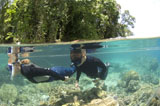 SJN400098U
Split level view of snorkeller at Restorf Island, Papua New Guinea.