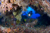 SJN400209U
A diver peers through a coral encrusted archway, Papua New Guinea.