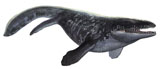 SKR100026P