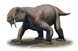 SKR100033P