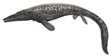 SKR100034P