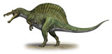 SKR100037P