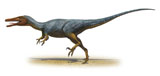 SKR100048P