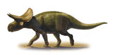 SKR100066P