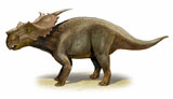 SKR100068P