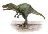 SKR100089P