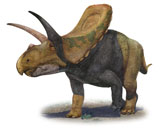 SKR100103P