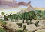 SKR100106P
An Albertosaurus observes a family of Arrhinoceratops.
