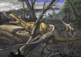SKR100122P