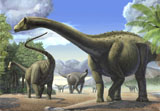 SKR100125P
A group of Tapuiasaurus macedoi dinosaurs.