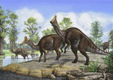 SKR100127P
Amurosaurus riabinini dinosaurs grazing in prehistoric wetlands.