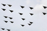 STK101254M