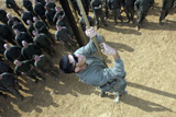 STK102004M
A soldier climbs a rope on an obstacle course.
