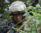STK102167M
A rifleman conceals himself in the bushes.