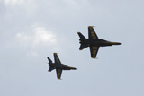 STK102202M