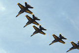 STK102206M