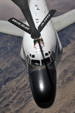 STK102209M