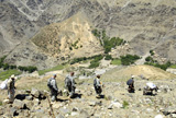 STK102566M
A donkey loaded with medical supplies and humanitarian aid leads the way.